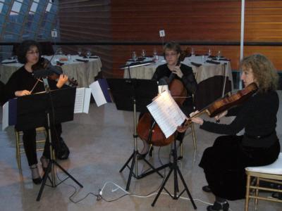 Vivace String Quartet | Philadelphia, PA | Classical String Quartet | Photo #3