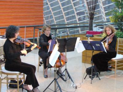 Vivace String Quartet | Philadelphia, PA | Classical String Quartet | Photo #5