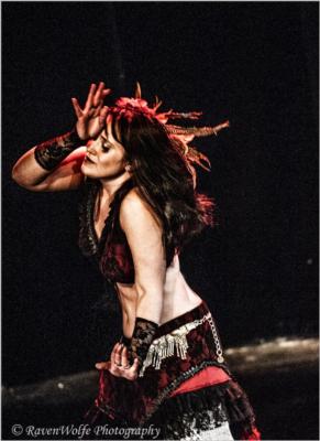 Zehara Nachash | Boston, MA | Belly Dancer | Photo #5