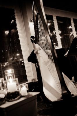 Nadia Pessoa | Washington, DC | Classical Harp | Photo #3