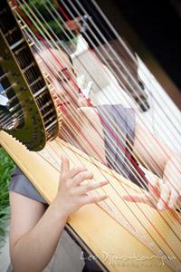 Nadia Pessoa | Washington, DC | Classical Harp | Photo #7