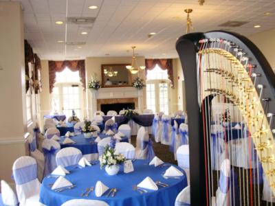 Nadia Pessoa | Washington, DC | Classical Harp | Photo #9
