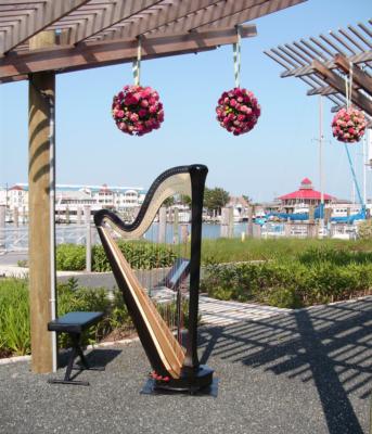 Nadia Pessoa | Washington, DC | Classical Harp | Photo #10