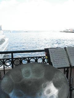 Steel Rhythm | Boston, MA | Steel Drum Band | Photo #15