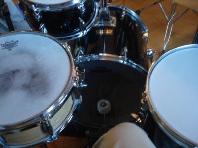 Steel Rhythm | Boston, MA | Steel Drum Band | Photo #9