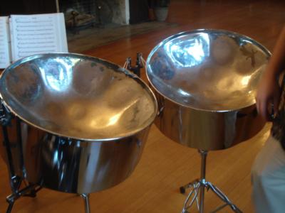 Steel Rhythm | Boston, MA | Steel Drum Band | Photo #10