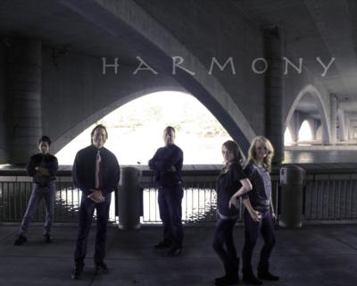 Harmony | Reynoldsburg, OH | Cover Band | Photo #4