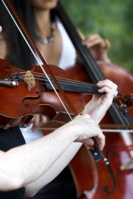 Celebration Musicians's Main Photo