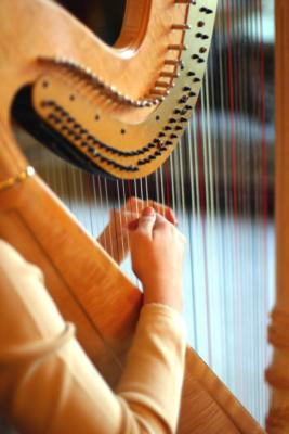 Celebration Musicians | Miami, FL | String Quartet | Photo #4