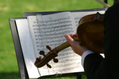 Celebration Musicians | Miami, FL | String Quartet | Photo #8