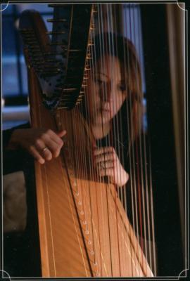 Aimee Showers Lin | Chesterfield, MO | Classical Harp | Photo #3