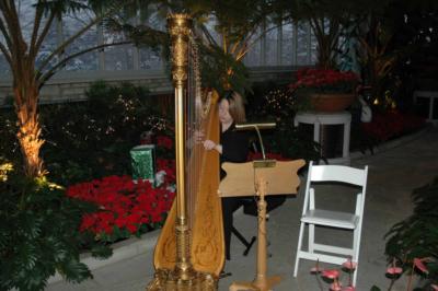 Aimee Showers Lin | Chesterfield, MO | Classical Harp | Photo #4