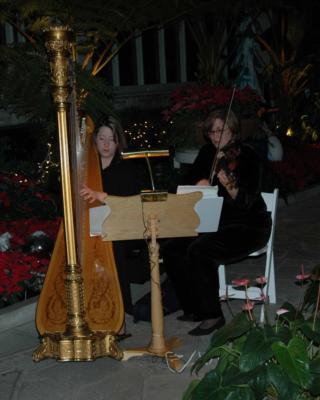 Aimee Showers Lin | Chesterfield, MO | Classical Harp | Photo #5