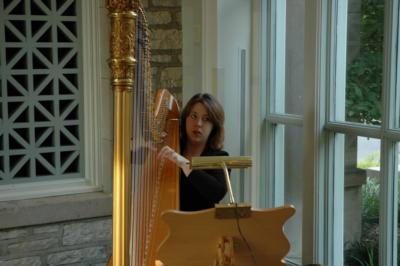 Aimee Showers Lin | Chesterfield, MO | Classical Harp | Photo #6
