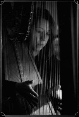 Aimee Showers Lin | Chesterfield, MO | Classical Harp | Photo #8