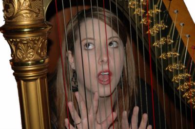 Aimee Showers Lin | Chesterfield, MO | Classical Harp | Photo #9