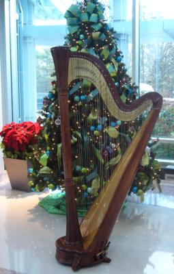 Diana Marie Gibbs, Harpist | Alexandria, VA | Classical Harp | Photo #19