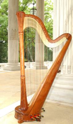 Diana Marie Gibbs, Harpist | Alexandria, VA | Classical Harp | Photo #9