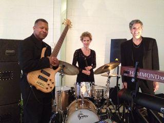 Michael Stechison / Doctor Stech & Nervous Habit | Atlanta, GA | Jazz Trio | Photo #14