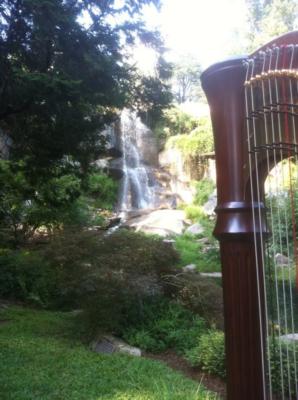 Jessica Frost | Winchester, VA | Classical Harp | Photo #17
