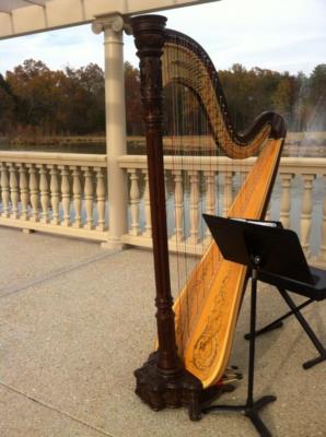 Jessica Frost | Winchester, VA | Classical Harp | Photo #10