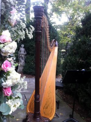 Jessica Frost | Winchester, VA | Classical Harp | Photo #12