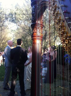 Jessica Frost | Winchester, VA | Classical Harp | Photo #11