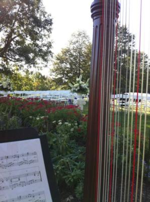 Jessica Frost | Winchester, VA | Classical Harp | Photo #15