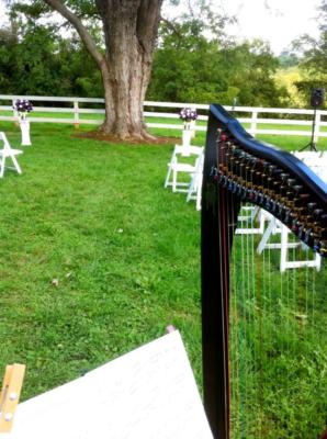 Jessica Frost | Winchester, VA | Classical Harp | Photo #14