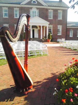 Jessica Frost | Winchester, VA | Classical Harp | Photo #5