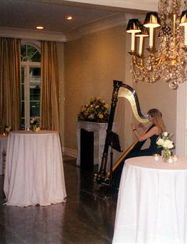 Kari Gardner | Grayslake, IL | Harp | Photo #3