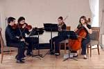 Classern Quartet | Orlando, FL | Classical String Quartet | Photo #9
