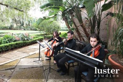 Classern Quartet | Orlando, FL | Classical String Quartet | Photo #6