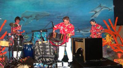 Islands In The Sun Production | Dallas, TX | Steel Drum | Photo #10