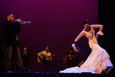 Spanish Guitar Chicago / Spanish Guitar Duo | Chicago, IL | Flamenco Duo | Photo #5