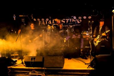 Fatal Sting - A Tribute To The Scorpions | Buffalo, NY | Scorpions Tribute Band | Photo #15