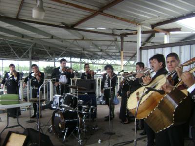 Mariachi Calmecac | Houston, TX | Mariachi Band | Photo #12