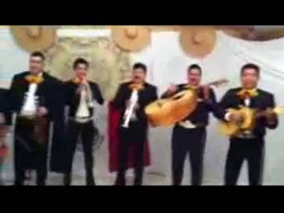 Mariachi Calmecac | Houston, TX | Mariachi Band | El Mariachi Loco