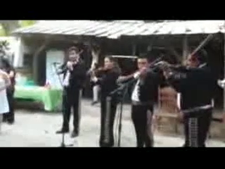 Mariachi Calmecac | Houston, TX | Mariachi Band | El Toro Viejo