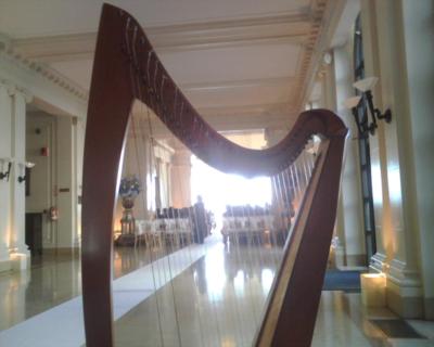Lara Garner - Harpist/Pianist/Flutist | San Francisco, CA | Harp | Photo #19