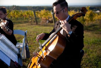 SUMMIT Strings | Wilkesboro, NC | Classical String Quartet | Photo #8