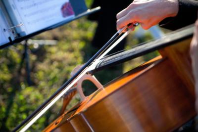 SUMMIT Strings | Wilkesboro, NC | Classical String Quartet | Photo #9