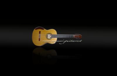 Nolan Ericsson | New York, NY | Classical Guitar | Photo #8