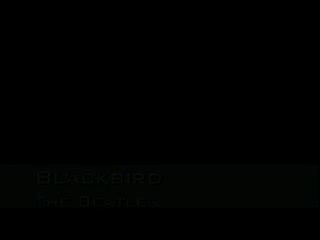 Nolan Ericsson | New York, NY | Classical Guitar | Blackbird