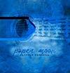 Paper Moon | San Diego, CA | Acoustic Duo | Photo #19