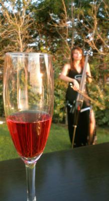 Irina Chirkova | Torrance, CA | Classical Cello | Photo #7
