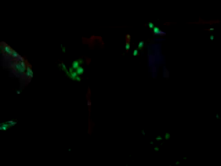 Dj Dollarbill Entertainment | York, PA | DJ | Fun