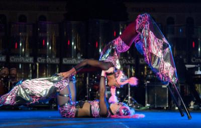 Animate Objects Physical Theater | Seattle, WA | Trapeze Artist | Photo #5