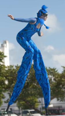Animate Objects Physical Theater | Seattle, WA | Trapeze Artist | Photo #4