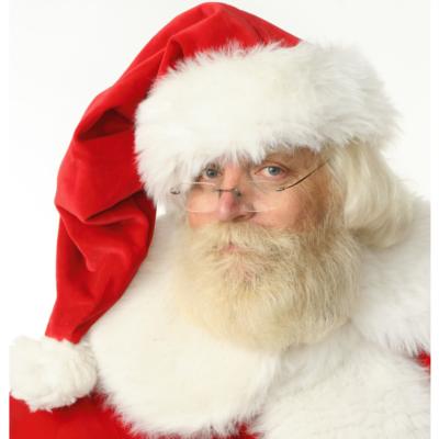 Ron Breach | Anaheim, CA | Santa Claus | Photo #2
